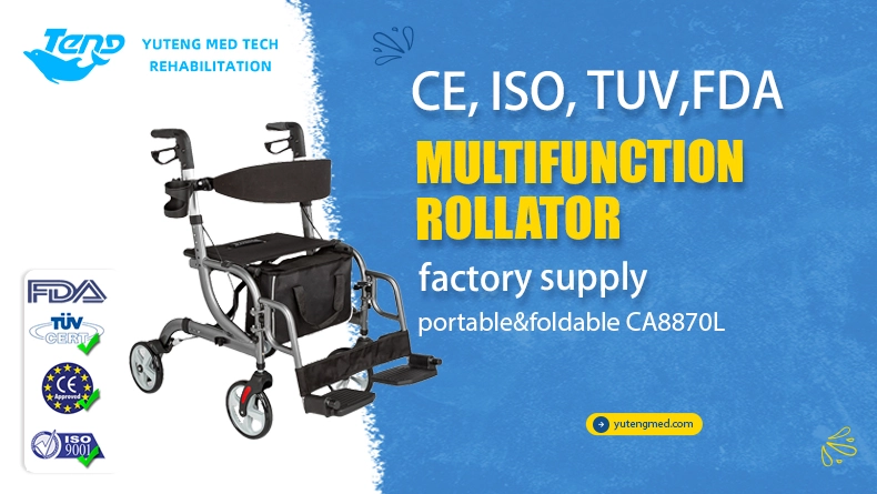 Elderly Shopping Rollator
